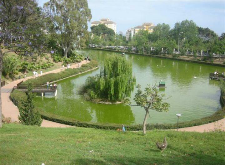 Estudio Sagitario Benalmádena Buitenkant foto